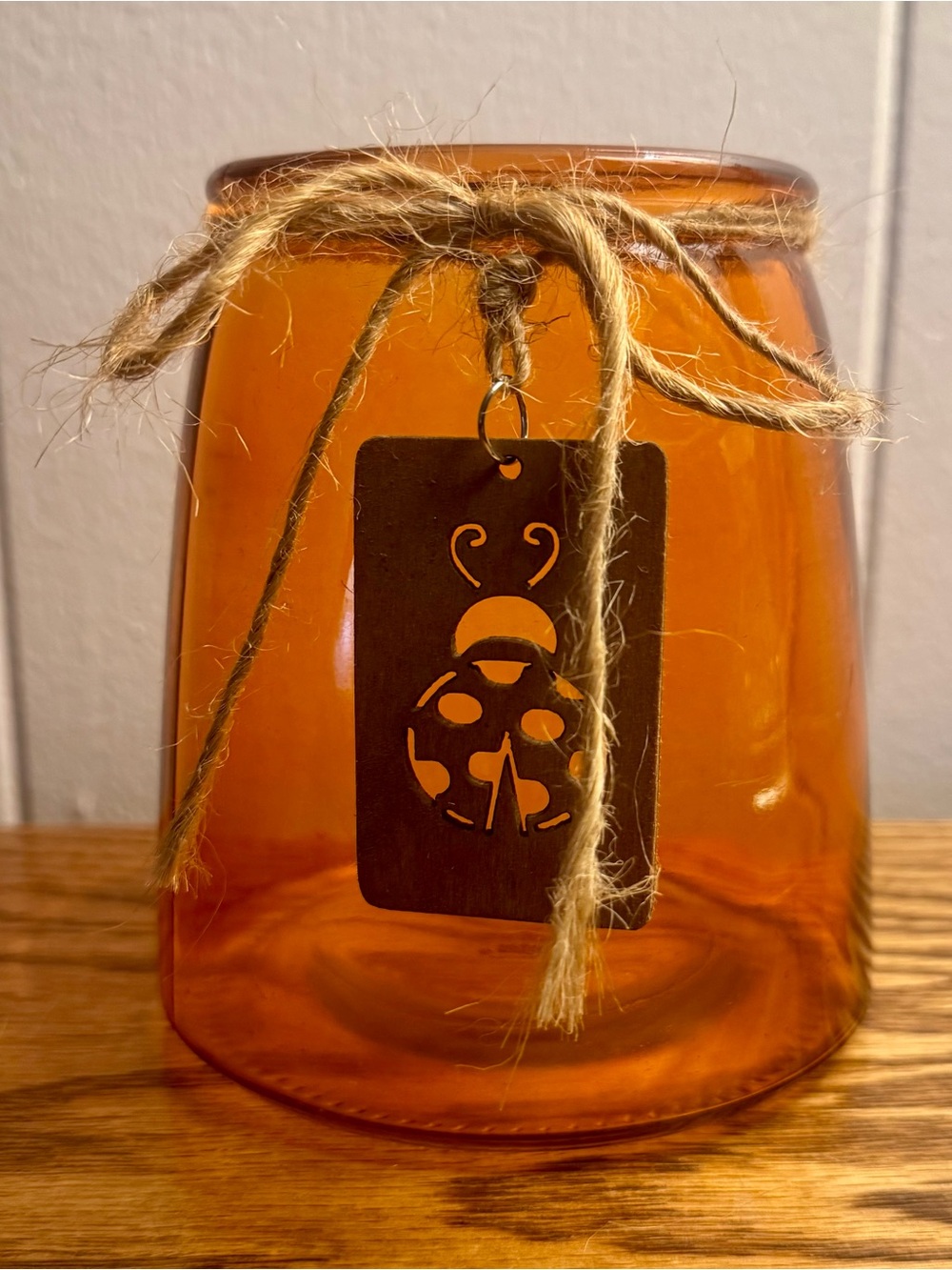 Amber Glass Jar Vase with Jute Twine & Wooden Ladybug Charm Rustic Decor